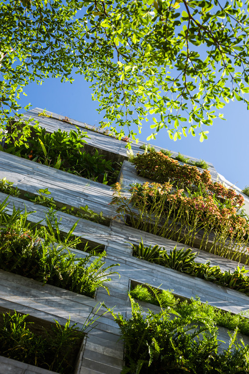 Những bồn hoa ốp tấm bê tông xếp chồng sát nhau mọc kín cây xanh, giúp giảm bụi, tiếng ồn cho ngôi nhà.