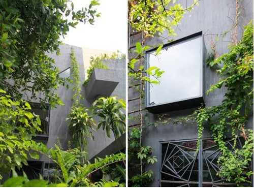 Chủ đầu tư của ngôi nhà có thiết kế độc lạ này là một hoạ sĩ. Hình ảnh khu vườn, những con vật đáng yêu như chó, mèo, chim, lợn, rùa…và tranh là những điều rất đỗi gần gũi đối với gia chủ.