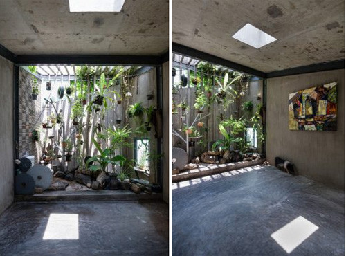 Khu vườn treo độc đáo với nhiều loại cây xanh.