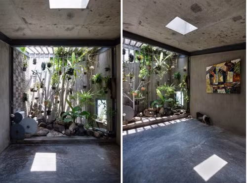 Khu vườn treo độc đáo với nhiều loại cây xanh.