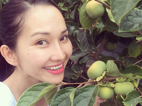 Những cây ăn quả trĩu nặng trong khuôn viên căn nhà. Ảnh: Khám Phá.