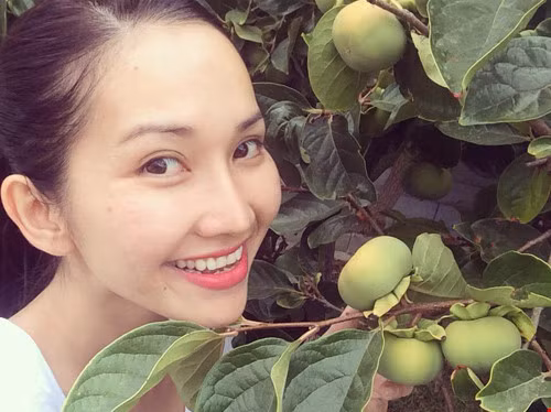 Những cây ăn quả trĩu nặng trong khuôn viên căn nhà. Ảnh: Khám Phá.