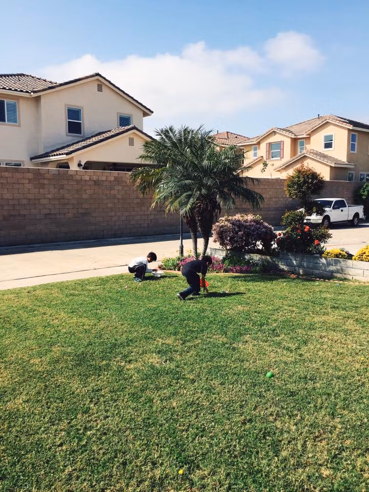 Điểm nhấn đặc biệt nhất của dinh thự này sắc xanh của cây cối ngập tràn từ ngoài đến vườn đến các góc nhỏ trong nhà. Trước cửa nhà Kim Hiền là bãi cỏ xanh rộng rãi. Ảnh: Khám Phá.