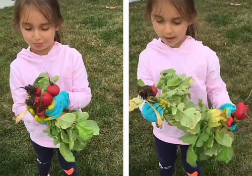 Sau ánh hào quang của một người mẫu nổi tiếng và phó chủ tịch Quỹ phát triển và đầu tư, Ivanka còn là một phụ nữ của gia đình. Cô thường xuyên truyền cảm hứng làm vườn tới các con của mình.