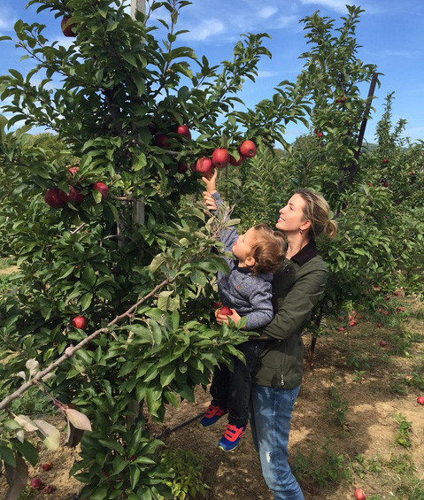 Tại biệt thự của cô còn có cả vườn táo cho quả rất sai.