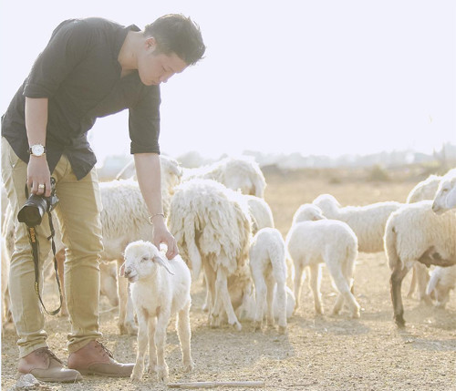 Nắm bắt cơ hội “kinh doanh”, những người chăn cừu đã phục vụ nhu cầu của khách với mức phí từ 50 - 100.000 đồng/ nhóm khách, để trả công cho việc dẫn cừu, gọi cừu, nâng cừu… cho khách chụp hình. Khách chủ yếu là các bạn trẻ và cô dâu chú rể chụp hình lưu lại những khoảnh khắc đẹp.