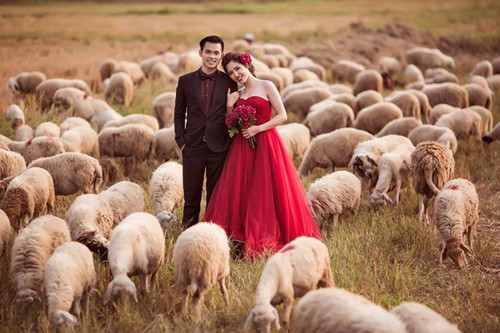 Trại cừu nằm ở phường Hố Nai, khá khó tìm. Du khách khi đến tham quan địa điểm này nên nhờ đến sự trợ giúp từ người dân nơi đây để tránh bị lạc.