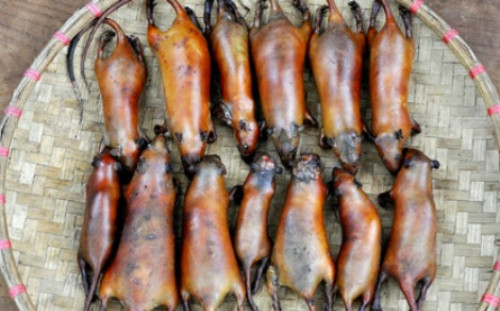 Chuột đồng là loài cắn phá mùa màng, nhưng thịt chuột ngon là điều không ai bàn cãi. Dân sành ăn chế biến chuột thành đủ thứ món, nào là chuột rô ti, chuột khìa nước dừa, chuột chiên sả ớt, chuột nấu canh chua… cầu kỳ hơn là món chuột quay lu được bán ở các nhà hàng, quán nhậu cao cấp với giá cả trăm ngàn đồng/đĩa. Ảnh: Dân Trí.