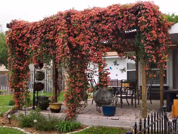 Ngoài hoa hồng, có rất nhiều loài hoa xinh đẹp khác mà bạn có thể dùng để trang trí nhà cửa. Ảnh: Topinspirations.