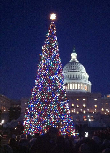 Cây thông Giáng Sinh trị giá 1 triệu USD trưng bày tại Washington D.C (Mỹ). Ảnh: Mostluxuriouslist.