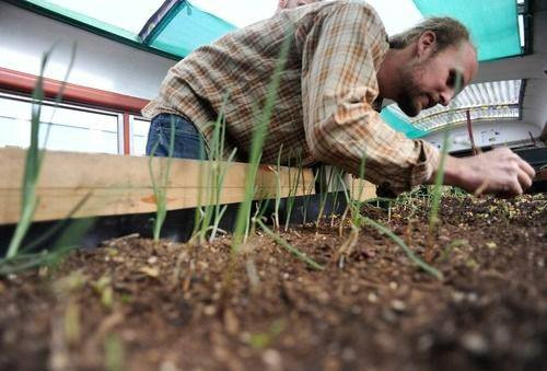 Trên chiếc xe buýt rộng 10m2 còn được bố trí chỗ ủ phân và thiết bị tưới nước nhỏ giọt chạy bằng năng lượng mặt trời.