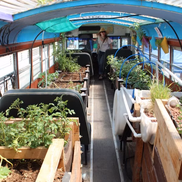 Anh Shawn Peterson chính là người đã đưa ra ý tưởng biến chiếc xe buýt cũ thành một trang trại rau sạch di động mang tên The Green Urban Lunch Box.