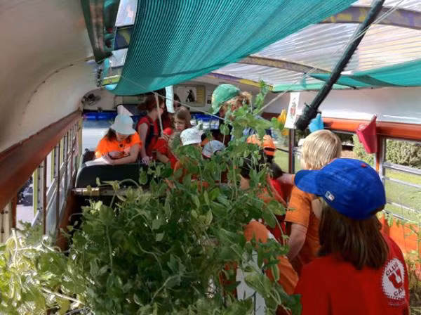 Mô hình vườn rau trên xe buýt thu hút các em học sinh tham quan và tìm hiểu.