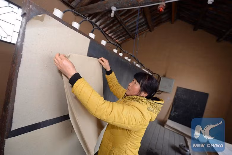 Những tờ giấy hoàn chỉnh được phơi khô.