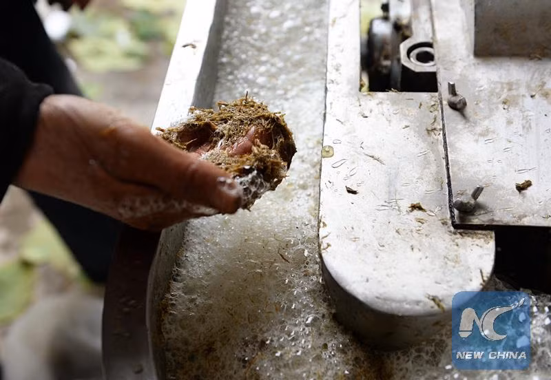 Ông Liu tiết lộ bí mật đằng sau phát minh của mình: Thức ăn của gấu trúc phần lớn là cây trúc, vì vậy chất thải của chúng có rất nhiều chất xơ. Hàm lượng chất xơ cao giúp loại giấy này có kết cấu rất tốt, màu sắc đẹp và mùi hương giống như cây trúc.