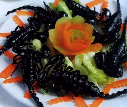 Bò cạp là loại côn trùng khá đắt bởi nó được xem như thần dược giúp tăng cường sinh lực đàn ông. Bò cạp được bán với giá 350.000 đồng/kg, nếu mua lẻ sẽ là 5.000 đồng/con. Thịt bò cạp rất giàu protein, calcium và axit amin giúp dễ tiêu hóa nên vẫn thường được người dân ngâm rượu hoặc chế biến thành thức ăn.