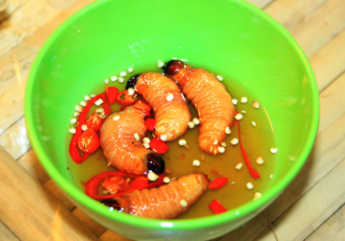 Đuông dừa chấm mắm ăn sống, chiên, nướng, luộc, nấu xôi… là những món ngon từ lâu đã trở thành đặc sản miền Tây nức tiếng. Trong các nhà hàng sang trọng, quán nhậu hay các quán côn trùng vỉa hè ở Hà Nội hay Sài Gòn đều có bán.