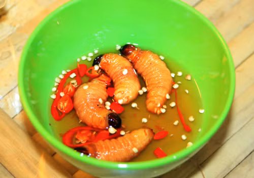 Đuông dừa chấm mắm ăn sống, chiên, nướng, luộc, nấu xôi… là những món ngon từ lâu đã trở thành đặc sản miền Tây nức tiếng. Trong các nhà hàng sang trọng, quán nhậu hay các quán côn trùng vỉa hè ở Hà Nội hay Sài Gòn đều có bán.