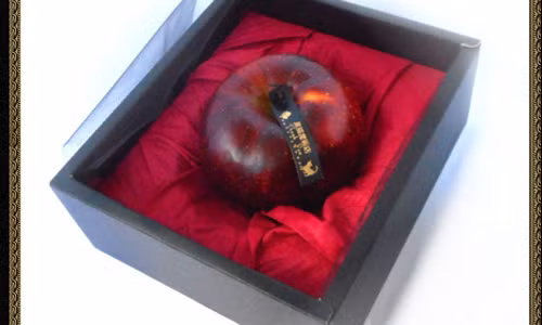 Để tạo thêm niềm tin cho khách hàng, thông tin còn cho biết loại táo nêu trên được trồng ở khu vườn rất đặc biệt, tọa lạc tại vùng đất thiêng liêng dưới chân nhóm 3 ngọn núi Dewa Sanzan (quận Yamagata, Nhật Bản), theo Oddity Central.