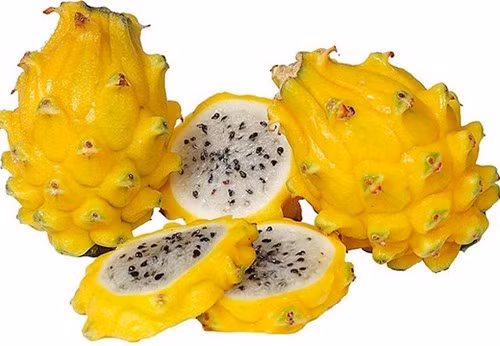 Dù có giá tới 700.000 đồng/kg nhưng thanh long vàng Malaysia vẫn được nhiều khách hàng Việt ưa chuộng.