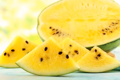 Dưa hấu ruột vàng có dạng quả dài màu xanh sáng, sọc mờ, trọng lượng quả trung bình 3 – 3,5 kg, có quả nặng tới 5 – 6kg, rất phù hợp với thị hiếu tiêu dùng miền Bắc, vỏ mỏng, cứng, dai dễ vận chuyển.