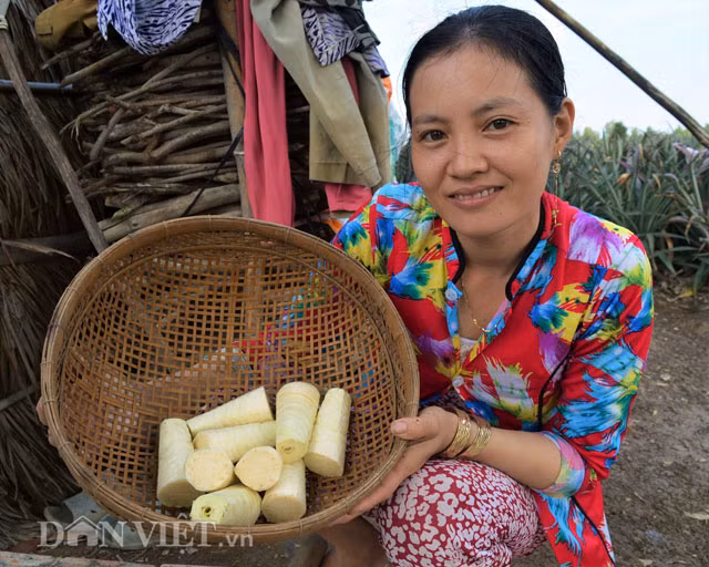 Củ hũ khóm có màu trắng, vị ngọt dịu, có thể chế biến các món ăn như xào, làm bánh xèo hoặc hầm thịt.