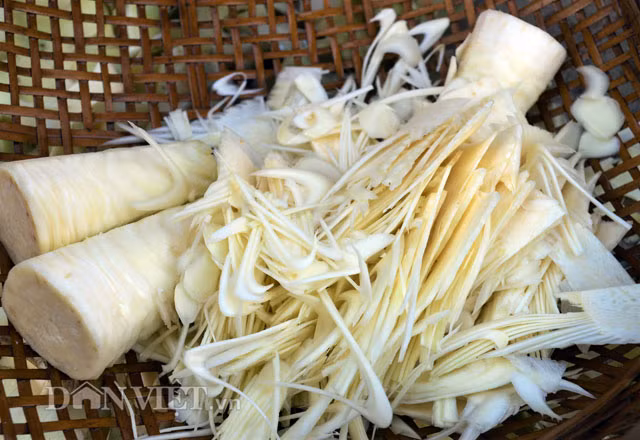 Củ hũ khóm là một đặc sản hiếm có của vùng quê miền Tây.