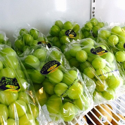 Theo người tiêu dùng đánh giá, nho nhập ngoại từ Nhật Bản quả to hơn, ăn giòn, chắc thịt và ngọt thơm chứ không ngọt gắt như các loại nho khác. Giống quả này khi về Việt Nam có mức giá 1,3 triệu đồng/kg, thời điểm cuối hoặc đầu mùa giá còn lên tới 1,4 triệu đồng/kg. Ảnh: Internet.