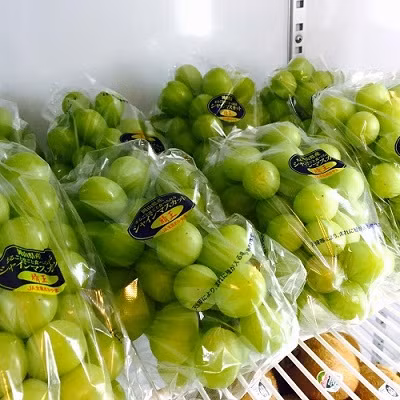 Theo người tiêu dùng đánh giá, nho nhập ngoại từ Nhật Bản quả to hơn, ăn giòn, chắc thịt và ngọt thơm chứ không ngọt gắt như các loại nho khác. Giống quả này khi về Việt Nam có mức giá 1,3 triệu đồng/kg, thời điểm cuối hoặc đầu mùa giá còn lên tới 1,4 triệu đồng/kg. Ảnh: Internet.