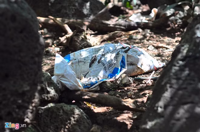 Theo người trồng, gấc là thực vật thân leo thuộc loại bán hoang dại, không kén đất nên việc chăm sóc không mấy vất vả. Để cây sinh trưởng nhanh, bà Điểm đến các trang trại chăn nuôi gà mua phân về bón. Trong ảnh: Bao tải chứa phân gia cầm được chủ vườn để cạnh gốc cây, xen lẫn những tảng đá. Đây là cách bón phân đặc trưng của người trồng cây Đồng Nai.