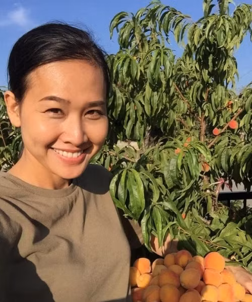 Mỗi lần đến mùa thu hoạch, bạn gái Bằng Kiều - Dương Mỹ Linh lại khiến bao người phải xuýt xoa khi thích thú khoe những giỏ quả chín mọng. Ảnh: FBNV.