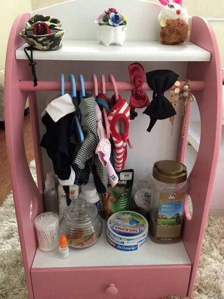 Tủ quần áo sang chảnh của Curly. Ảnh: Facebook.