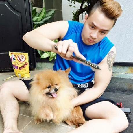 Nam ca sĩ chăm chỉ tỉa lông cho cún cưng của mình. Ảnh: Infonet.