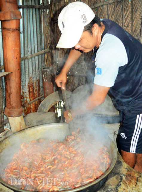 Khâu luộc tôm được xem là quan trọng nhất, quyết định đến chất lượng tôm khô và mỗi cơ sở sẽ có một phương pháp riêng. Trong ảnh: Gia đình ông Bùi Hoàng Chương (xã Tân Ân Tây) luộc tôm đất còn sống trên nồi củi khoảng 25 phút với tỷ lệ 10kg tôm – 100gr muối, đặc biệt không dùng nước, nhằm giữ được vị ngọt của thịt tôm. Ảnh: Dân Việt.