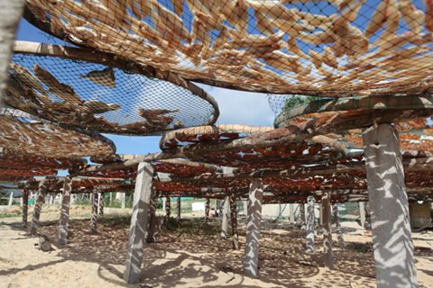 Phơi mực, cá khô trên đảo Lý Sơn: Món mực khô hay cá khô ở đảo Lý Sơn, Quảng Ngãi, thường ngon nức tiếng trong mỗi vị khách bởi cách chế biến và phơi phô đặc biệt của người dân nơi này. Ảnh: ANTĐ.