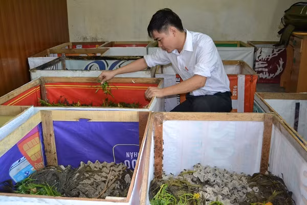 Đang là một thầy giáo trẻ giảng dạy tại trường THPT, tình cờ một lần anh Nguyễn Thế Thắng (SN 1979, trú tại TP. Vinh, Nghệ An) xem chương trình về kỹ thuật nuôi dế. Từ đó, anh Thắng đã thoát nghèo và vươn lên làm giàu từ nghề nuôi côn trùng. Ảnh: Vietnamnet.