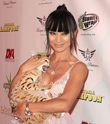 Bạch Linh - nữ diễn viên gốc Hoa đã bỏ ra 30.000 USD (670 triệu đồng) để mua một chú mèo về làm thú cưng. Chú mèo này có vẻ ngoài khá "dị" vì mang một nửa giống máu của báo geepa.