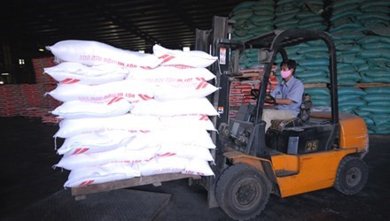 Nhà máy sản xuất thức ăn chăn nuôi đầu tiên của Tập đoàn được đặt tại Khu công nghiệp Phố Nối A (Hưng Yên) với công suất 300.000 tấn/năm, dự kiến vào đầu năm 2016 sẽ chính thức đi vào hoạt động và phấn đấu đạt doanh thu khoảng 3.000 tỉ đồng trong vòng 3 năm tới. Ảnh: Hòa Phát.