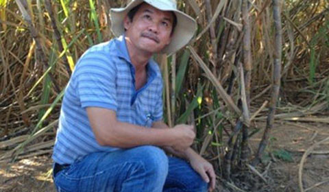 Tại kỳ đại hội cổ đông thường niên năm 2014, bầu Đức chia sẻ Hoàng Anh Gia Lai đã đầu tư 18.000 tỷ đồng vào nông nghiệp công nghệ cao và bước đầu thu được thành công. Trong quý I/2015, mía đường vẫn là lĩnh vực mang về doanh thu lớn nhất cho HAGL. Ảnh: Vietnamnet.