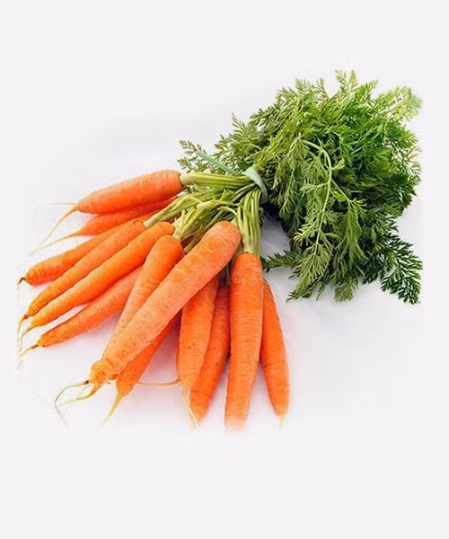 Cà rốt chứa nhiều Acid folic - có tác dụng ức chế sự phát triển, phòng chống ung thư vòm họng hiệu quả. Ảnh: 3fmart