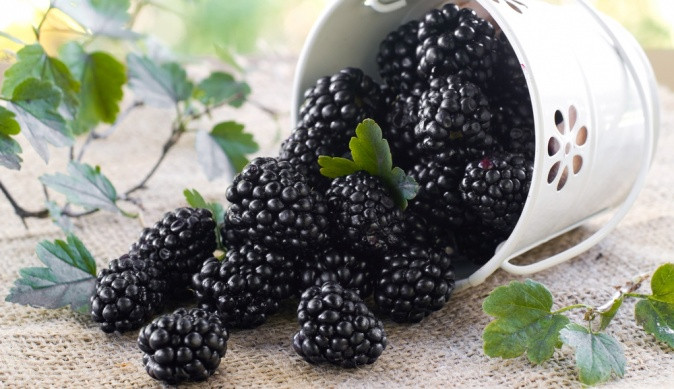 Quả mâm xôi đen cũng được xem là “siêu” thực phẩm màu đen tốt cho làn da và sức khỏe. Ảnh: botani.
