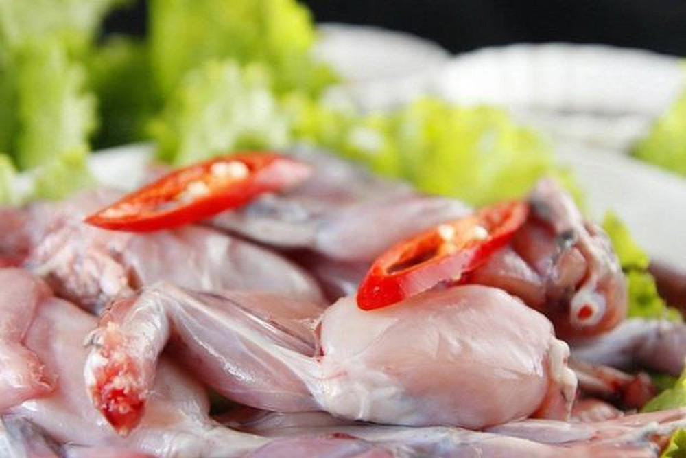 Nếu không biết cách làm hoặc không cẩn thận khiến độc tố từ các bộ phận kể trên dính vào thịt cóc gây ngộ độc và nặng sẽ dẫn tới tử vong ở người. Ảnh: Internet