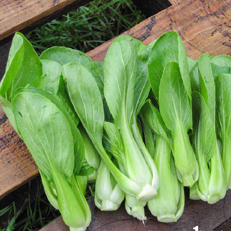 Diem danh nhung loai thuc pham ky thit ga chi em can biet