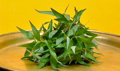 Với nam giới, rau dăm làm giảm ham muốn trong chuyện ấy, khả năng cường dương kém, làm giảm tinh khí. Ảnh: giaoducthoidai.