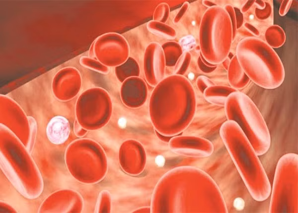 Nếu bạn bị thiếu máu do thiếu sắt, rất có thể bạn cũng đang thiếu vitamin C bởi thiếu vitamin C và thiếu sắt thường xảy ra cùng nhau. Ảnh: benhvienhoabinh.