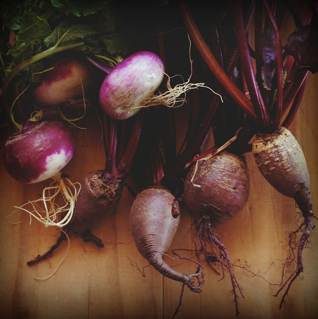 Củ cải tía cũng rất giàu nitrat và bạn không nên hâm nóng chúng.