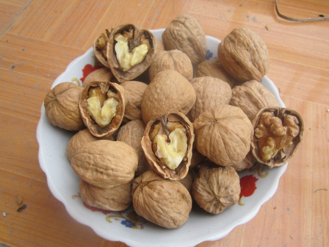 Những thực phẩm này bao gồm cá ngừ, cá hồi, bí ngô, hạt lanh, hạt óc chó và các loại rau có màu xanh đậm,...Ảnh: occhomy.