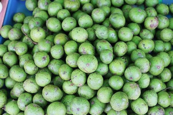 Một trong những tác dụng nổi tiếng của quả sấu là trị nôn nghén ở phụ nữ mang thai. Ảnh: giadinh.