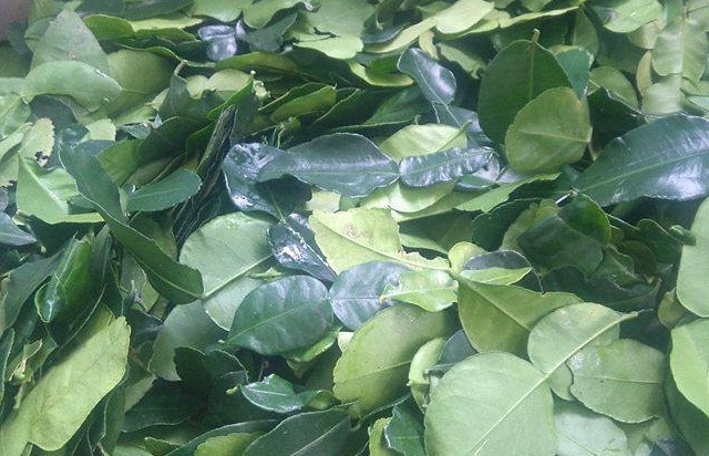 Bạn chỉ cần đun sôi 10g - 20g lá chanh tươi trong 2 lít nước rồi pha với nước lạnh để tắm. Mụn sẽ nhanh chóng biến mất và để lại cho bạn làn da mịn màng. Ảnh: blogspot.