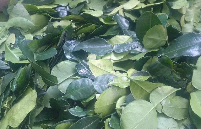 Bạn chỉ cần đun sôi 10g - 20g lá chanh tươi trong 2 lít nước rồi pha với nước lạnh để tắm. Mụn sẽ nhanh chóng biến mất và để lại cho bạn làn da mịn màng. Ảnh: blogspot.